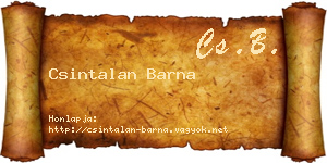 Csintalan Barna névjegykártya