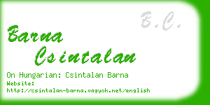 barna csintalan business card